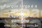 CCB Hino 129 Tocado na Harpa.wmv