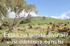 CCB Hino 69 - Brilha mais e mais