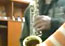 Saxofone e rgo eletrnico 02